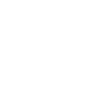 Volkswagen Namibia white logo on a transparent background